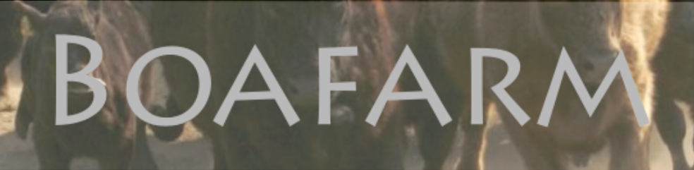 BOA Farm Logo