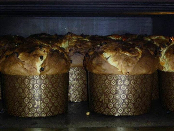 Panettone von Migliavacca mehrere Stück im Ofen